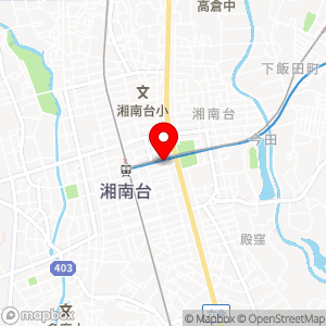 ショウワパーク 湘南台駅前の地図