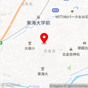 タイムズ 東海大学前第5の地図
