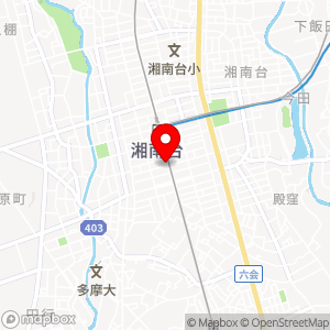 ダイレクトパーク DP湘南台NO2の地図