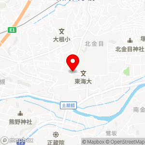 タイムズ 東海大学前第2の地図