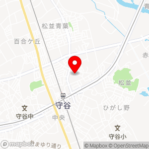 タイムズ守谷ひがし野１丁目駐車場の地図