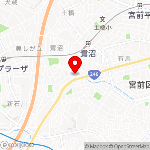 ナビパーク 川崎鷺沼第8の地図