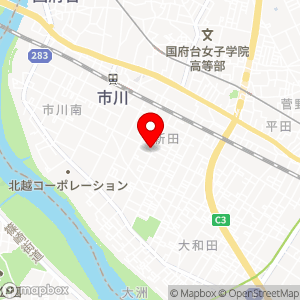 東洋CARMAX 市川新田3丁目の地図