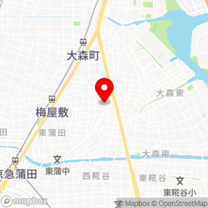 タイムズ 大森中第5の地図