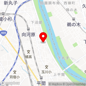 ナビパーク 中丸子第1の地図