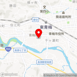 マルフジ 千ヶ瀬店の地図