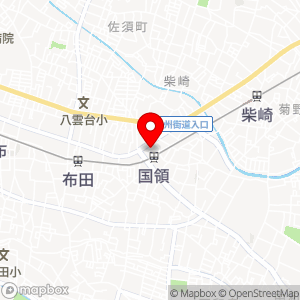 西友 国領店の地図