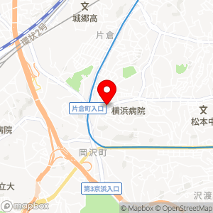 GRANDYパーク 神大寺の地図