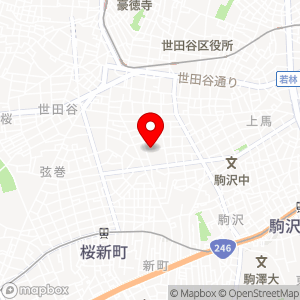 タイムズ 弦巻第5の地図
