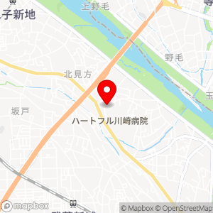 タイムズ ハートフル川崎病院の地図