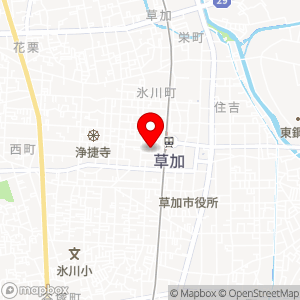 タイムズ 草加氷川町第24の地図