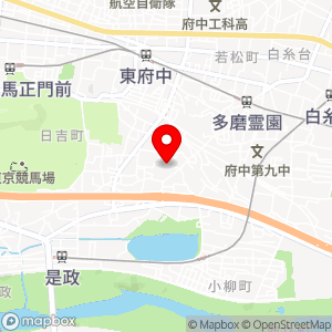 ナビパーク 是政第2の地図