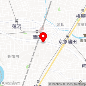 ブルースカイランドリー 蒲田本町店の地図