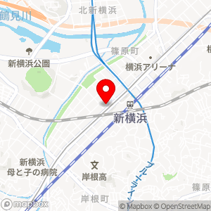 新横浜フジビューホテル 新横浜天然温泉の地図