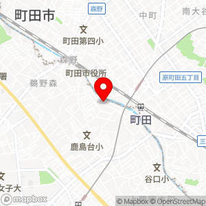 タマパーク 上鶴間本町第2駐車場の地図