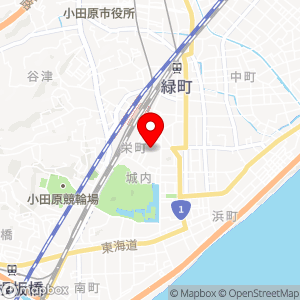ダイレクトパーク DP小田原栄町NO12の地図