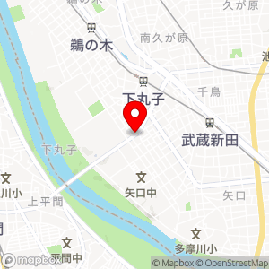 タイムズ 下丸子第7の地図
