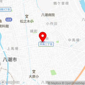タイムズ 八潮中央の地図