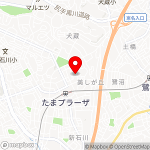 東急ライファ たまプラーザ駅前第2パーキングの地図