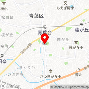 ショウワパーク 青葉台の地図