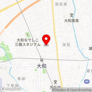 ショウワパーク パーク大和東DS第1の地図