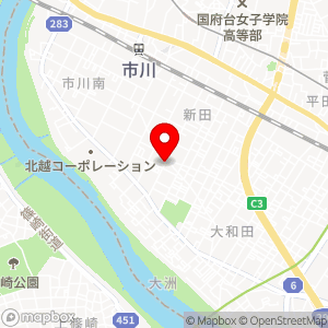 タイムズ 市川大洲第2の地図