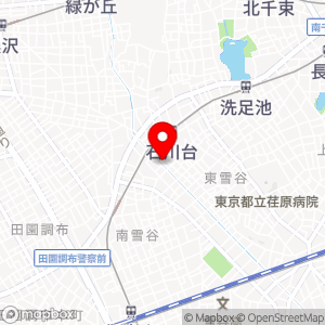 タイムズ 東雪谷2丁目第3の地図