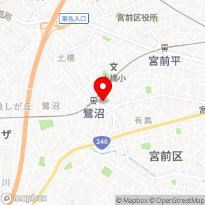 タイムズ 鷺沼サンモール商店街の地図