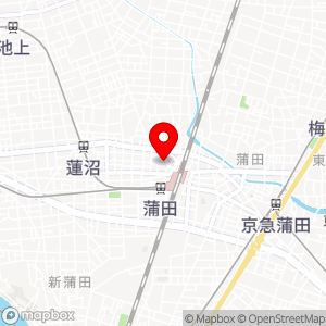 タイムズ 西蒲田第17の地図