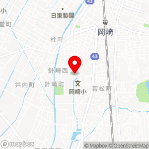 セブン-イレブン 岡崎針崎町店の地図