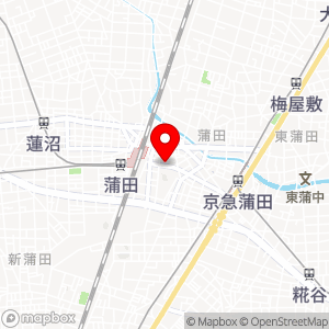 カプセルイン蒲田の地図