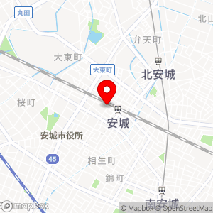 スペース24 安城駅前第1の地図